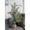 Chic Antique, Fleur grantr med kogler