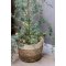 Chic Antique, Fleur grantr med LED, H90 cm.
