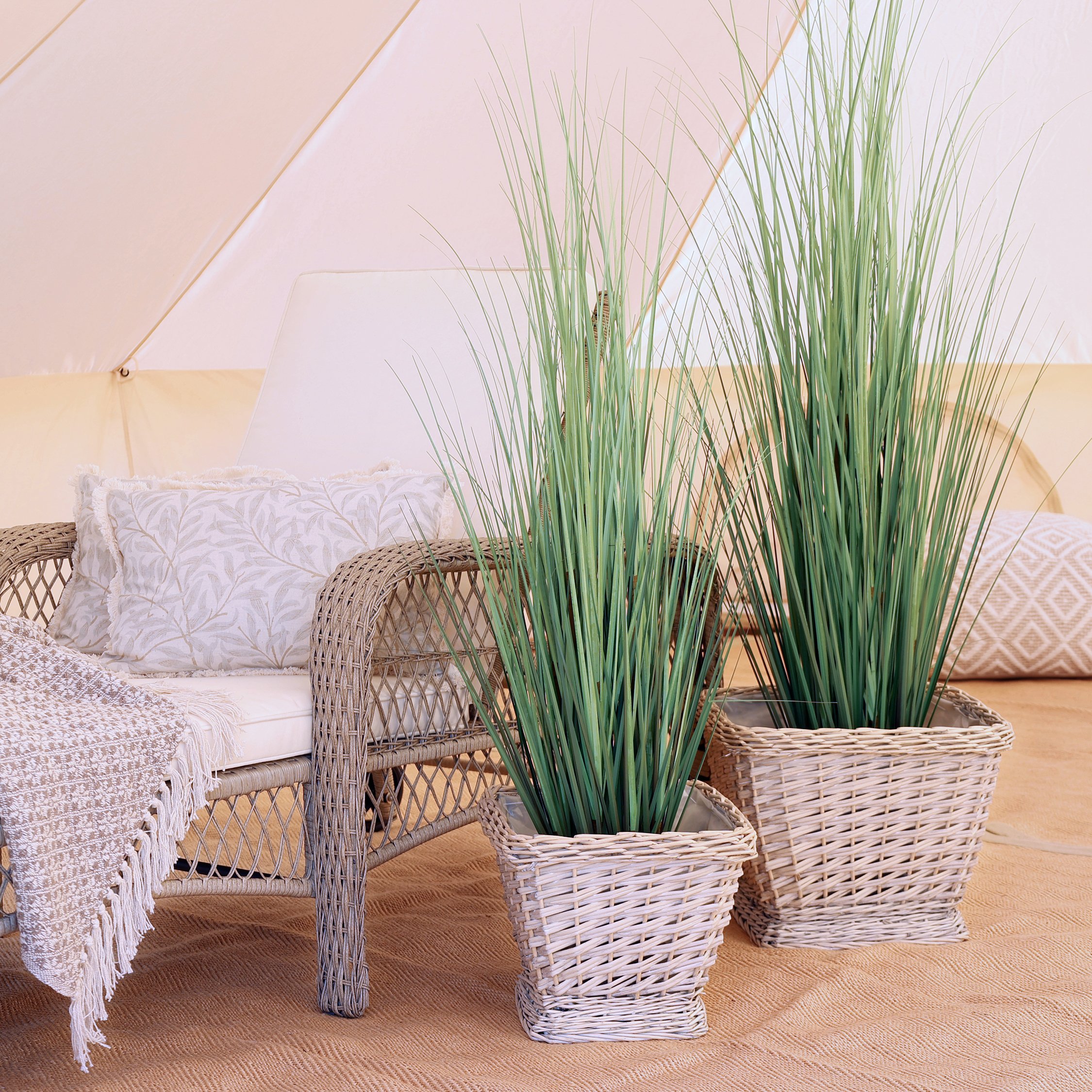 Chic Antique, Fleur Sivplante, H150 cm. 