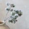 Chic Antique, Fleur Gren m. cedergran og kogler