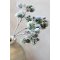 Chic Antique, Fleur Gren m. cedergran og kogler