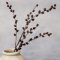 Chic Antique, Fleur gren med kogler og glimmer