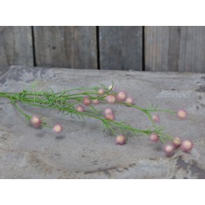 Chic Antique, Fleur Grftekantsblomst