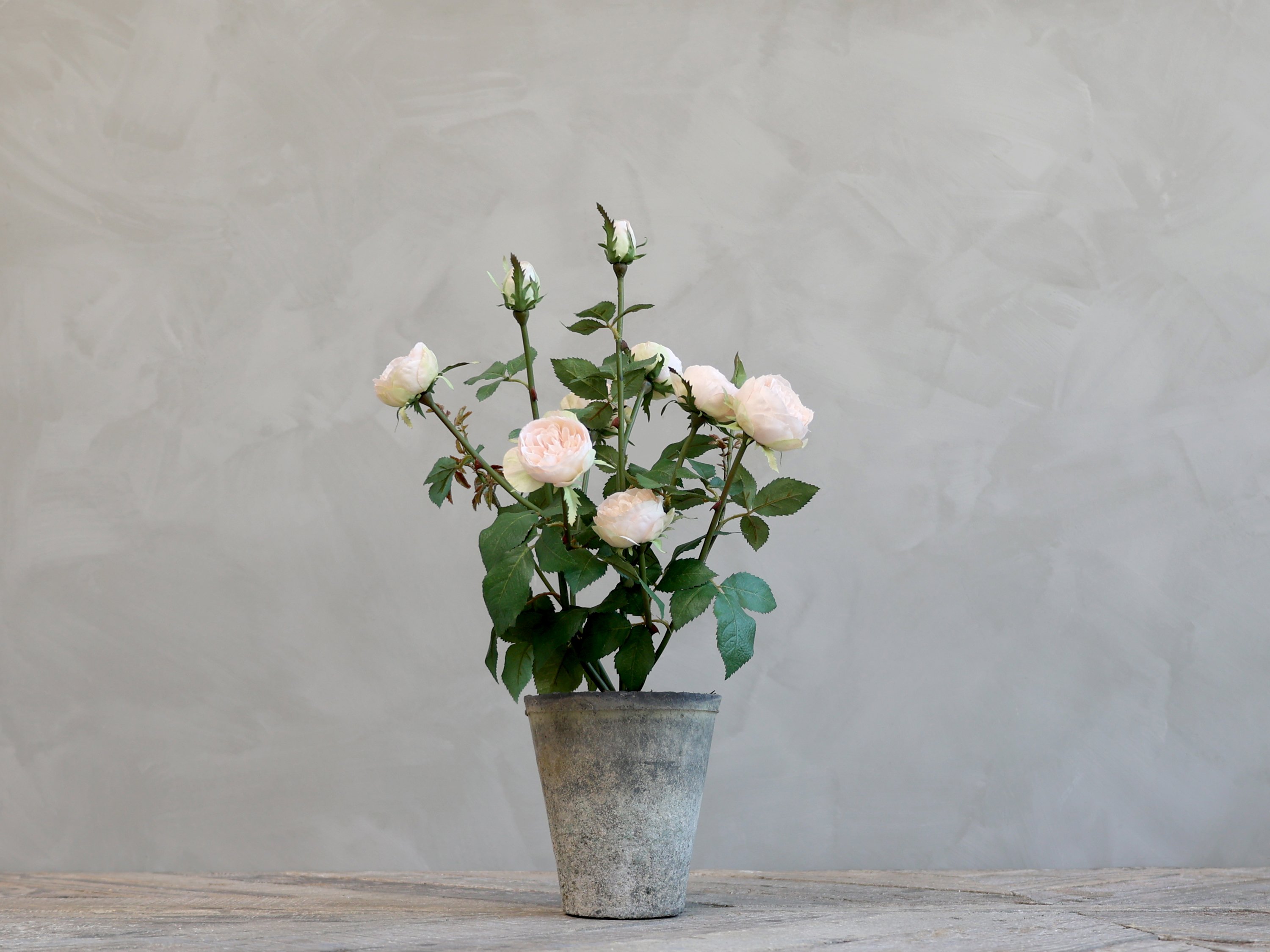 Chic Antique, Fleur Rose i gl. keramik potte, 44 cm. 