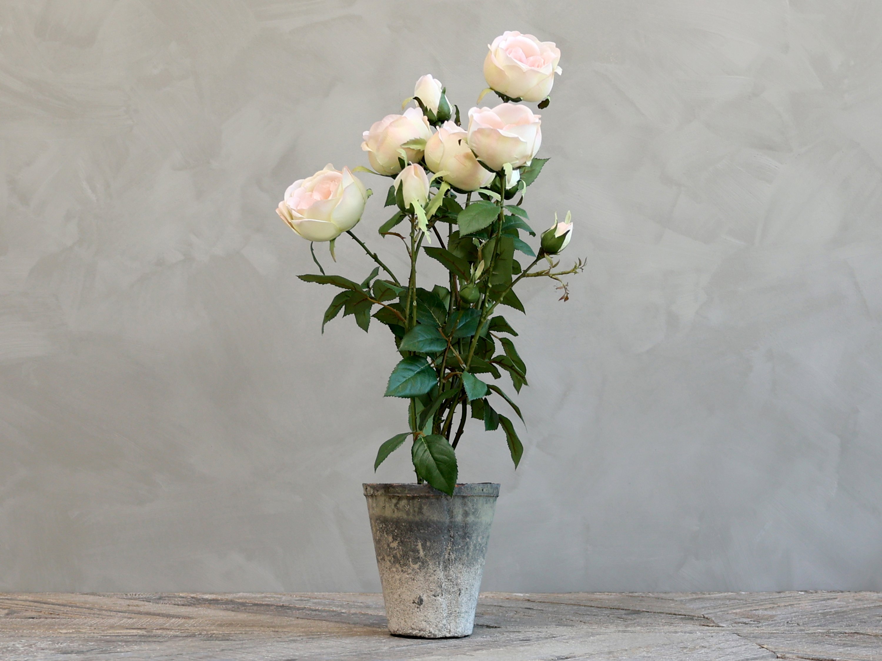 Chic Antique, Fleur Rose i gl. keramik potte, 52cm. 