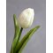 Chic Antique, Fleur Tulipaner, hvid
