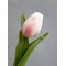 Chic Antique, Fleur Tulipaner, pudder