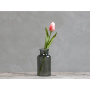 Chic Antique, Fleur Tulipaner, hindbr