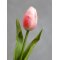 Chic Antique, Fleur Tulipaner, hindbr