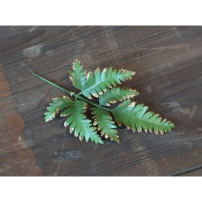 Chic Antique, Fleur store blade m. glimmer