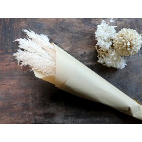 Chic Antique, Fleur trret Pampasgrs, pjusket