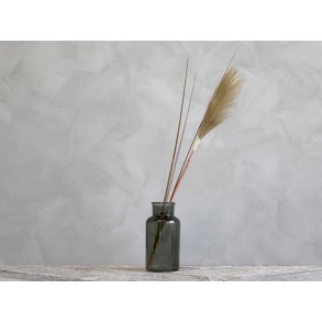 Chic Antique, Fleur Pampasgrs