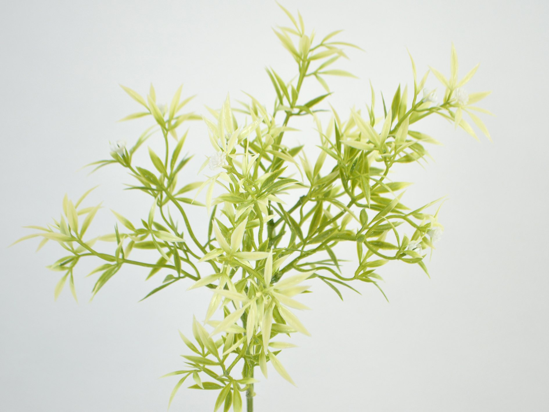 DEKO FLORALE, Kunstig gren med blade, 40 cm, Cream