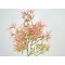 DEKO FLORALE, Kunstig gren med blade, 40 cm, Lyserd