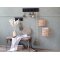 Chic Antique, Fransk B�nk med flets�de
