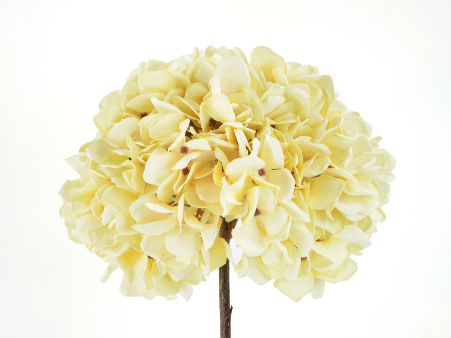 DEKO FLORALE, Kunstig hortensia, 53 cm, cream