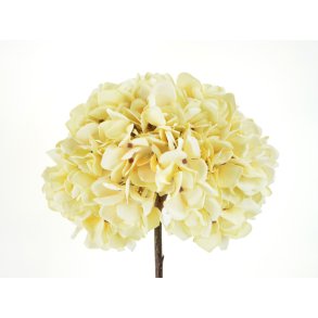 DEKO FLORALE, Kunstig hortensia, 53 cm, cream