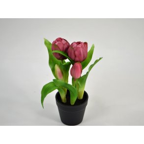 DEKO FLORALE, Tulipan, lilla (naturtro), i sort potte