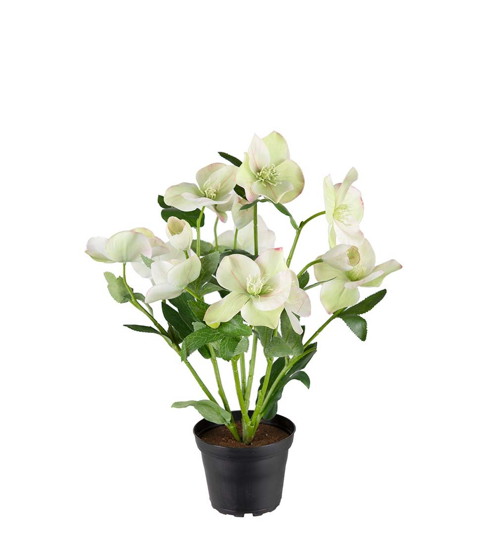 Mr Plant, Kunstig Helleborus i krukke, hvid, H35 cm