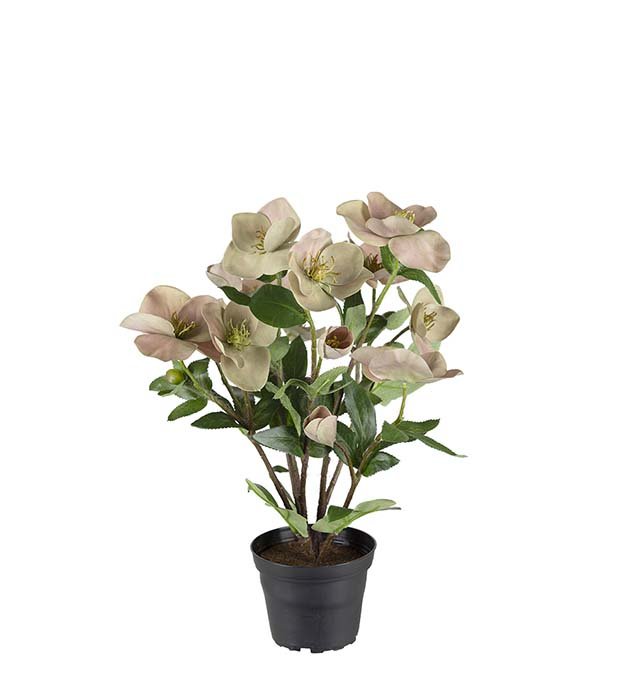 Mr Plant, Kunstig Helleborus i krukke, rosa, H35 cm