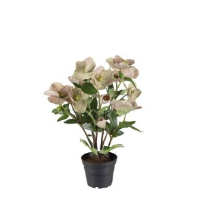 Mr Plant, Kunstig Helleborus i krukke, rosa, H35 cm