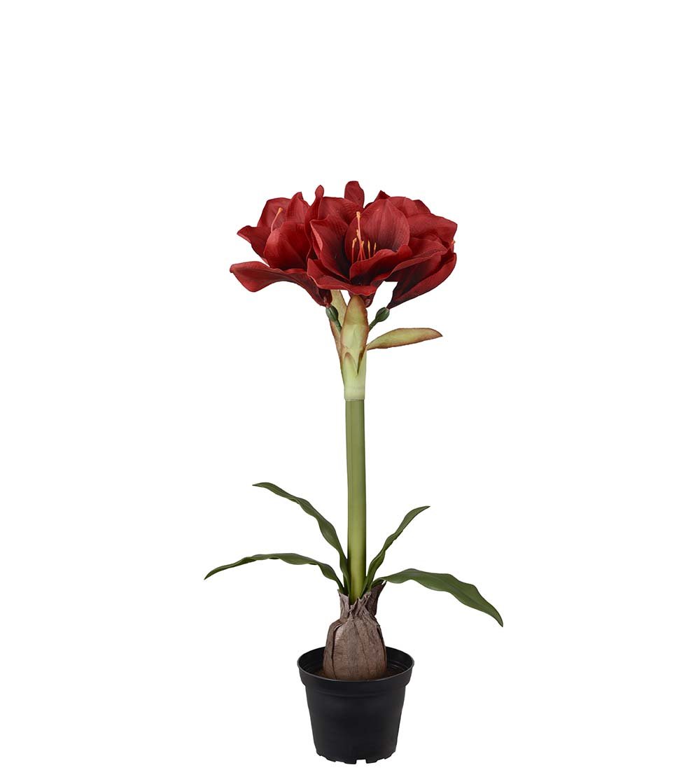 Mr Plant, Kunstig Amaryllis i krukke, Rd, H50 cm