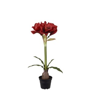 Mr Plant, Kunstig Amaryllis i krukke, Rd, H50 cm