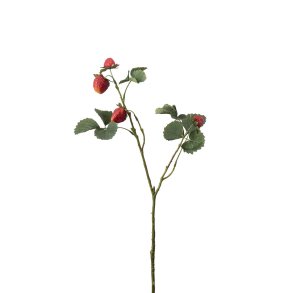 Mr Plant, Jordb�rkvist, 50 cm