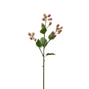 Mr Plant, Morb�rgren, 65 cm