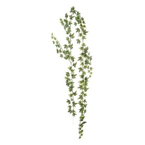 Mr Plant, Vedbend, 185 cm