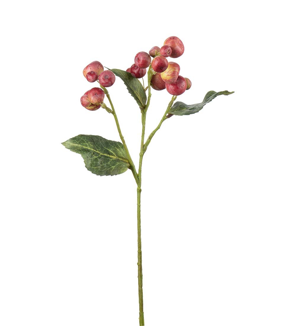 Mr Plant, �blekvist, 35 cm