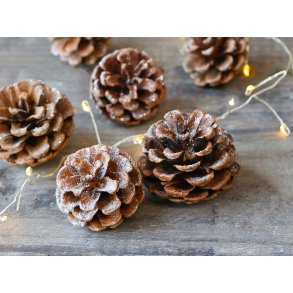 Chic Antique, Fleur kogle med glimmer