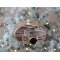 Chic Antique, Campingvogn til ophng, antique champagne