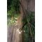 Chic Antique, Lysk�de med 10 iskrystaller