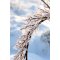 Chic Antique, Krans med frost, � 45 cm