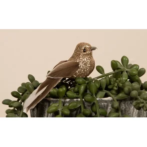 La Vida, Deko fugl, champagne