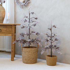 Chic Antique, Juletr� med frost og kogler