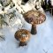 Chic Antique, Svamp til deko m. glimmer s�t af 2