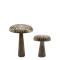 Chic Antique, Svamp til deko m. glimmer s�t af 2