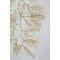Chic Antique, Oph�ng med perle
