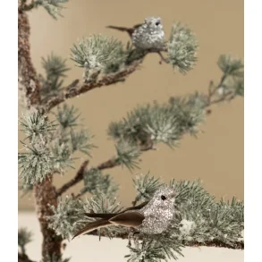 La Vida, Deko fugl, slv