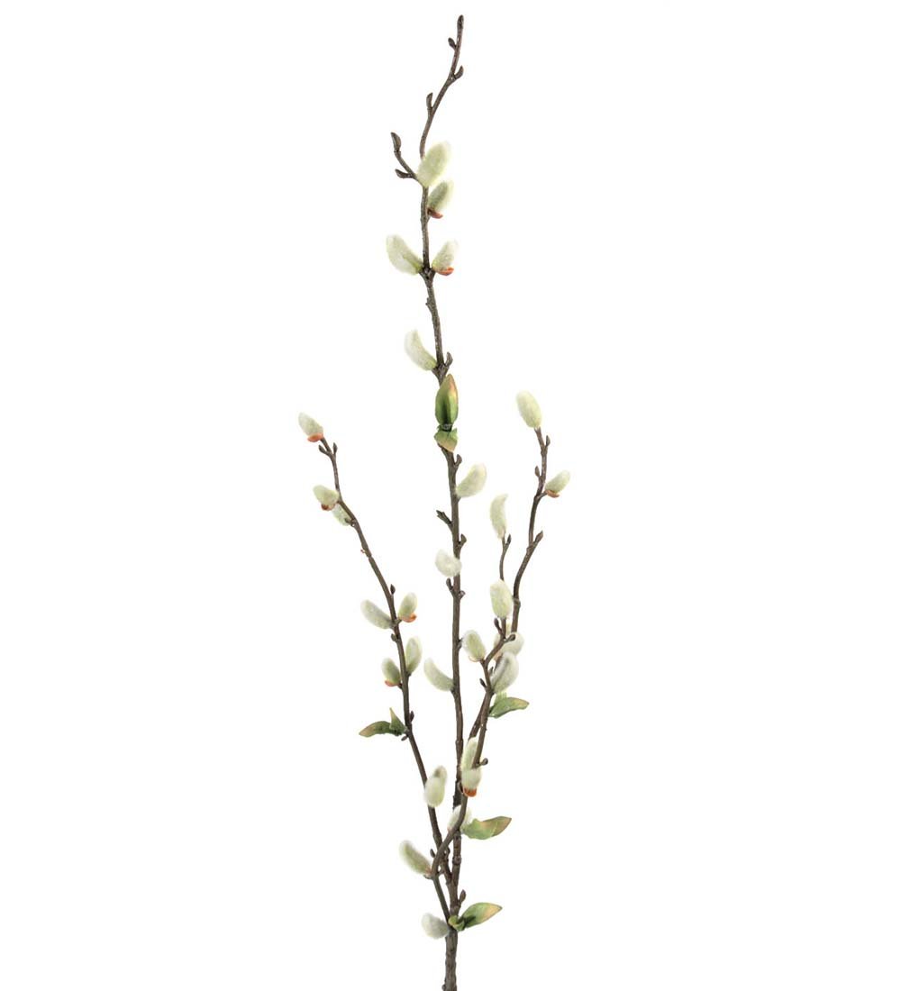 Mr Plant, Pil, 85 cm
