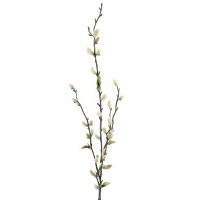 Mr Plant, Pil, 85 cm
