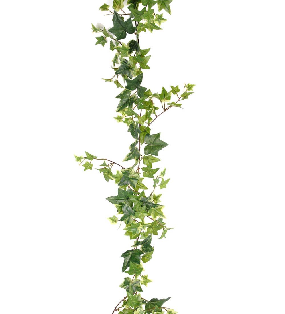 Mr Plant, Vedbend, 120 cm, lys