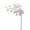 Mr Plant, Orkidegren, 28 cm, lyser�d