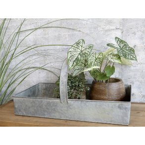 Chic Antique, Opbevaringskasse med hank, zink