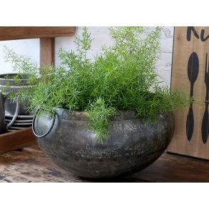 Chic Antique, Grimaud krukke til deko