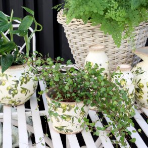 Chic Antique, Skjuler med olivenmnster, H10,5 cm.