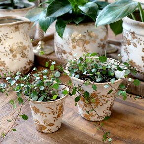 Chic Antique, Anniversary, Melun, Skjuler