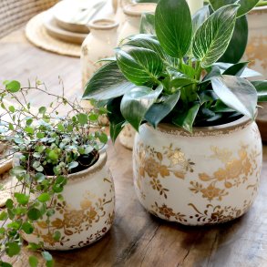 Chic Antique, Anniversary, Melun, Skjuler